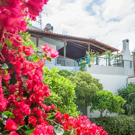 בית נופש V House פפקוהורי